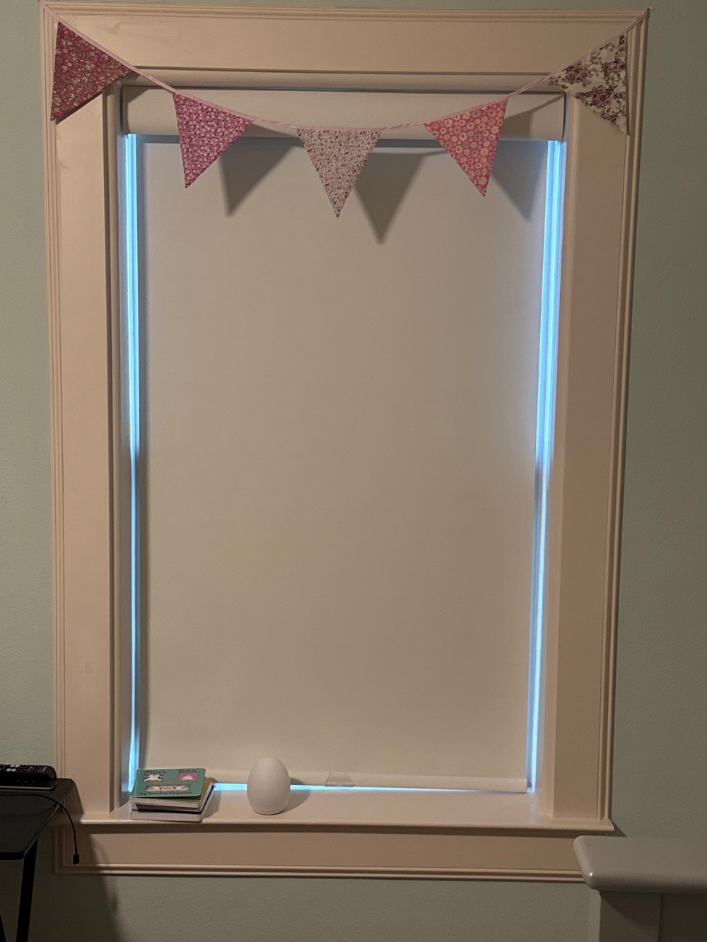 Perfect Room Darkening Roller Shades with Side Tracks on Woodhead St in Houston, TX